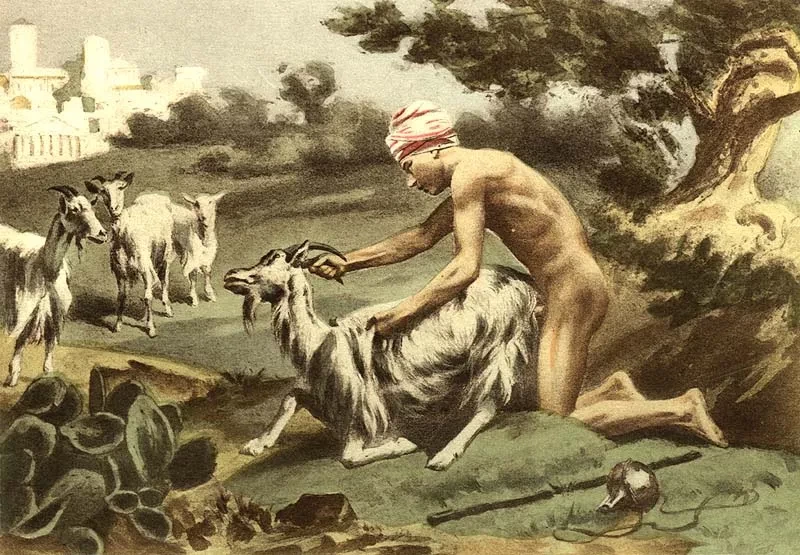 13